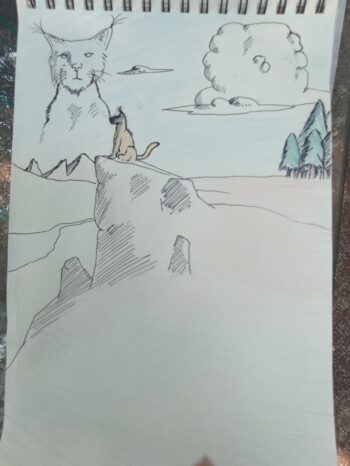 Dessin de Noé