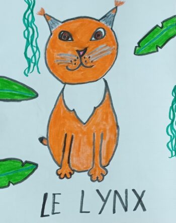 Dessin de Wilma 