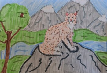 Dessin de Capucine 