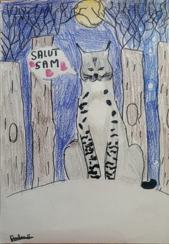 Dessin de Ambre
