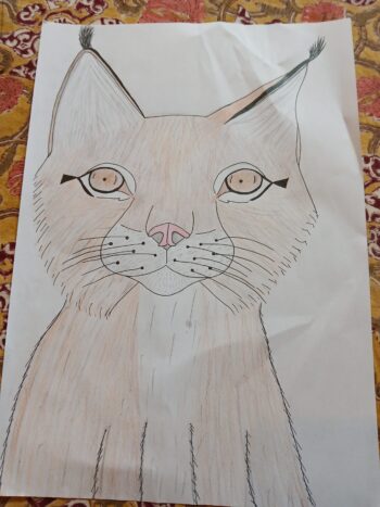 Dessin de Charlotte