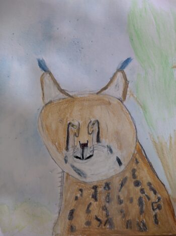 Dessin de Julian 
