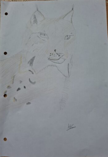 Dessin de Chloé 