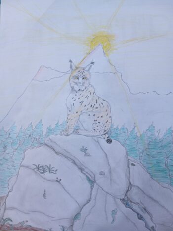 Dessin de Soan