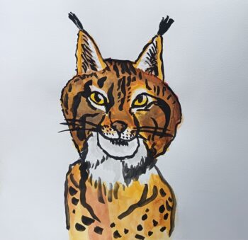 Dessin de Clara 