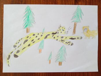 Dessin de Hadrien