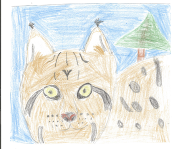 Dessin de Adrien
