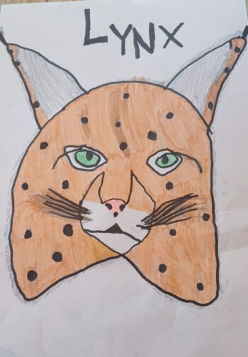Dessin de Jill