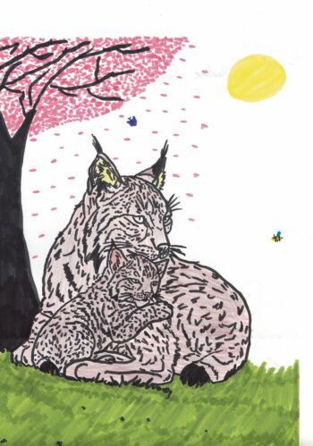 Dessin de Charline