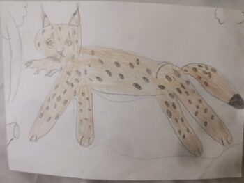Dessin de Eloïse
