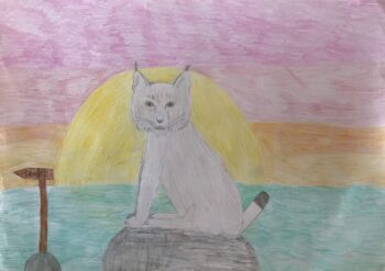 Dessin de Brune