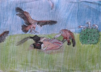 Dessin de Gyanne