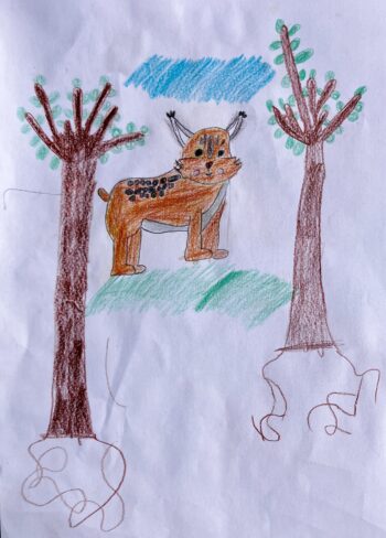 Dessin de Juliette