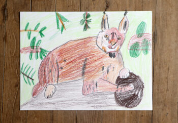 Dessin de Louise