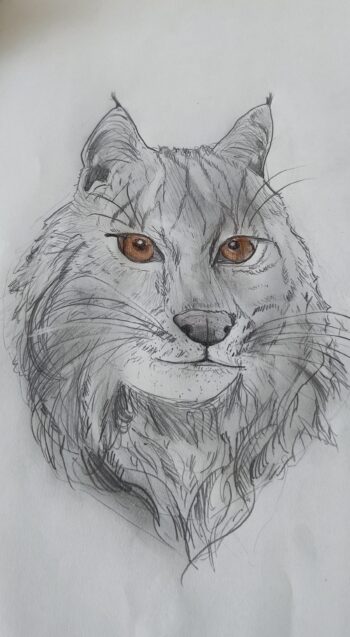 Dessin de Inès 