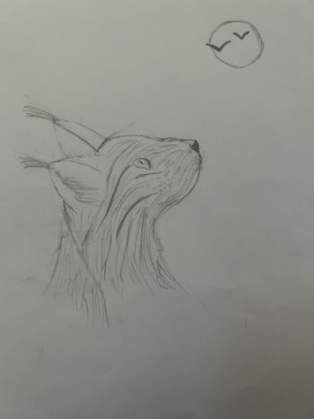 Dessin de Emy