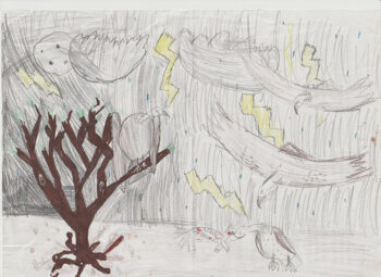 Dessin de Lucas