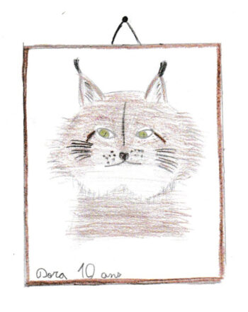 Dessin de Dora