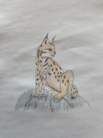Dessin de Eliana