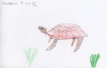 Dessin de Madeleine