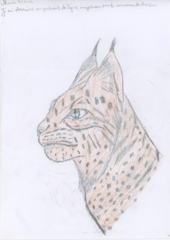 Dessin de Maïa