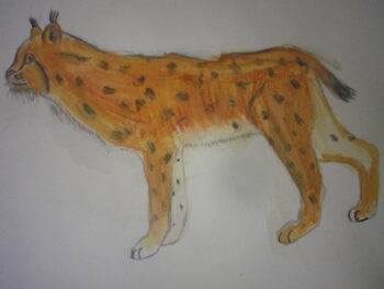 Dessin de Samy