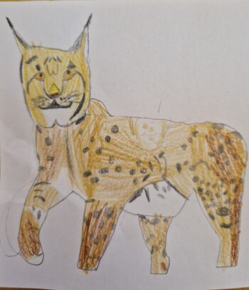 Dessin de Tom