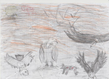 Dessin de Lucas