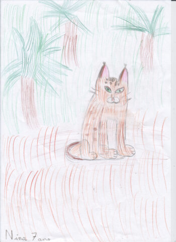 Dessin de Nin