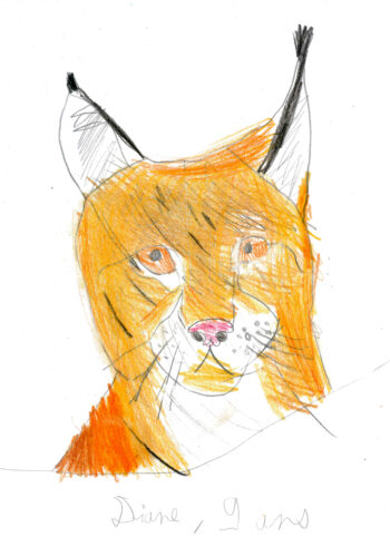 Dessin de Diane
