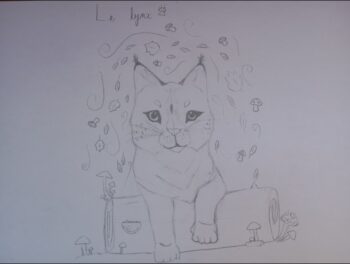 Dessin de Grayce 