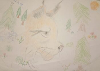 Dessin de Nataq