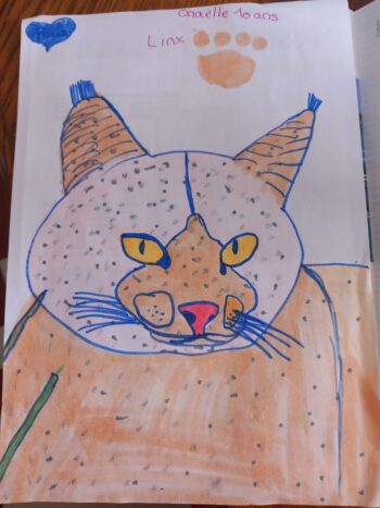 Dessin de Onaëlle 