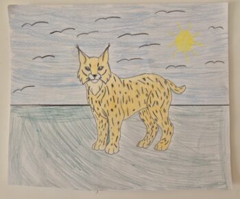 Dessin de Rafael
