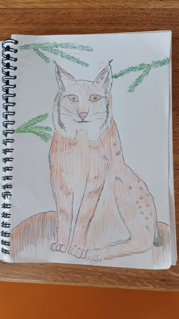 Dessin de Mia