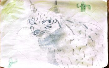 Dessin de Noha 