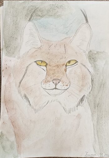Dessin de Imran