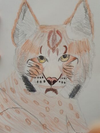 Dessin de Lucie