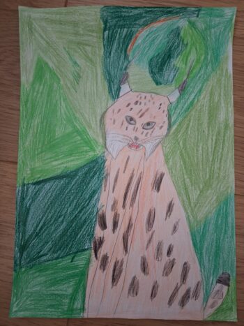 Dessin de Augustin 