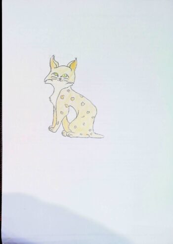Dessin de Ambre