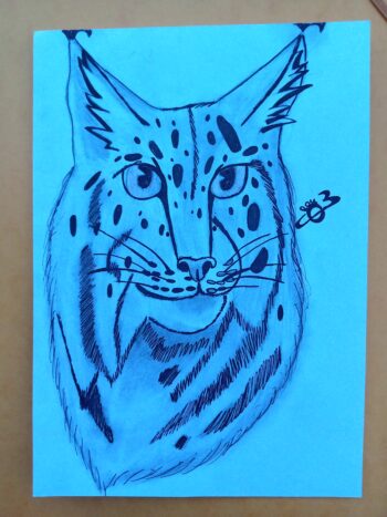 Dessin de Lou