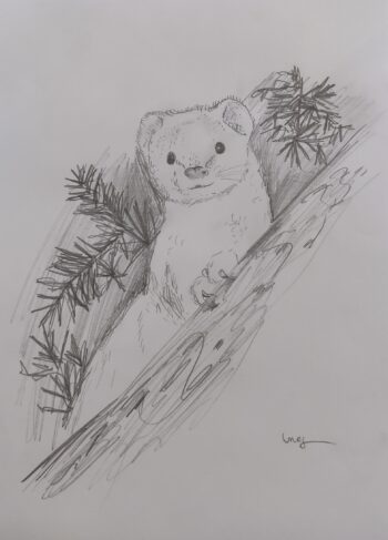 Dessin de Ines