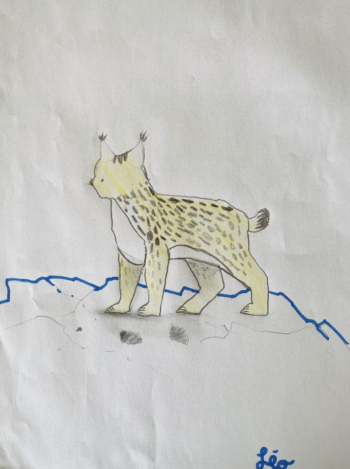 Dessin de Léo
