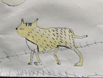 Dessin de Joseph