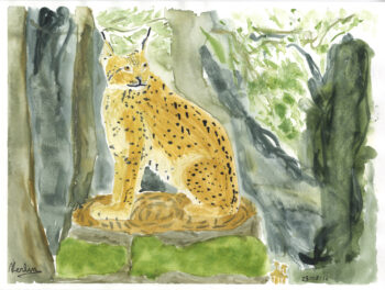 Dessin de Merlin