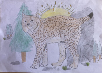 Dessin de Aïna