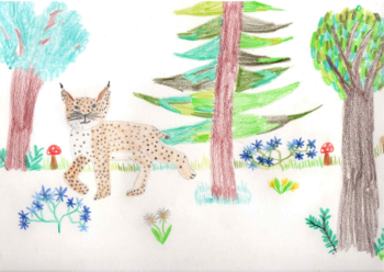 Dessin de Anaïs