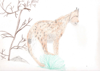 Dessin de Florent