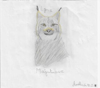 Dessin de Amélie