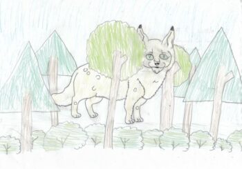 Dessin de Noémie